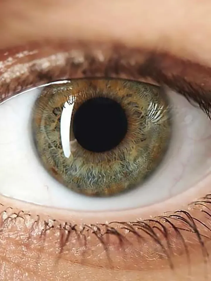 Primo piano di un occhio umano con iride verde nocciola, pupilla nera e ciglia visibili.